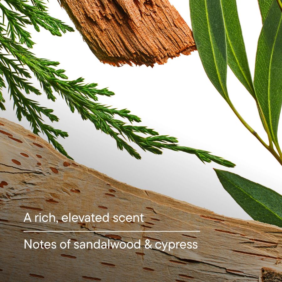 Harry’s Body Wash - Wildlands