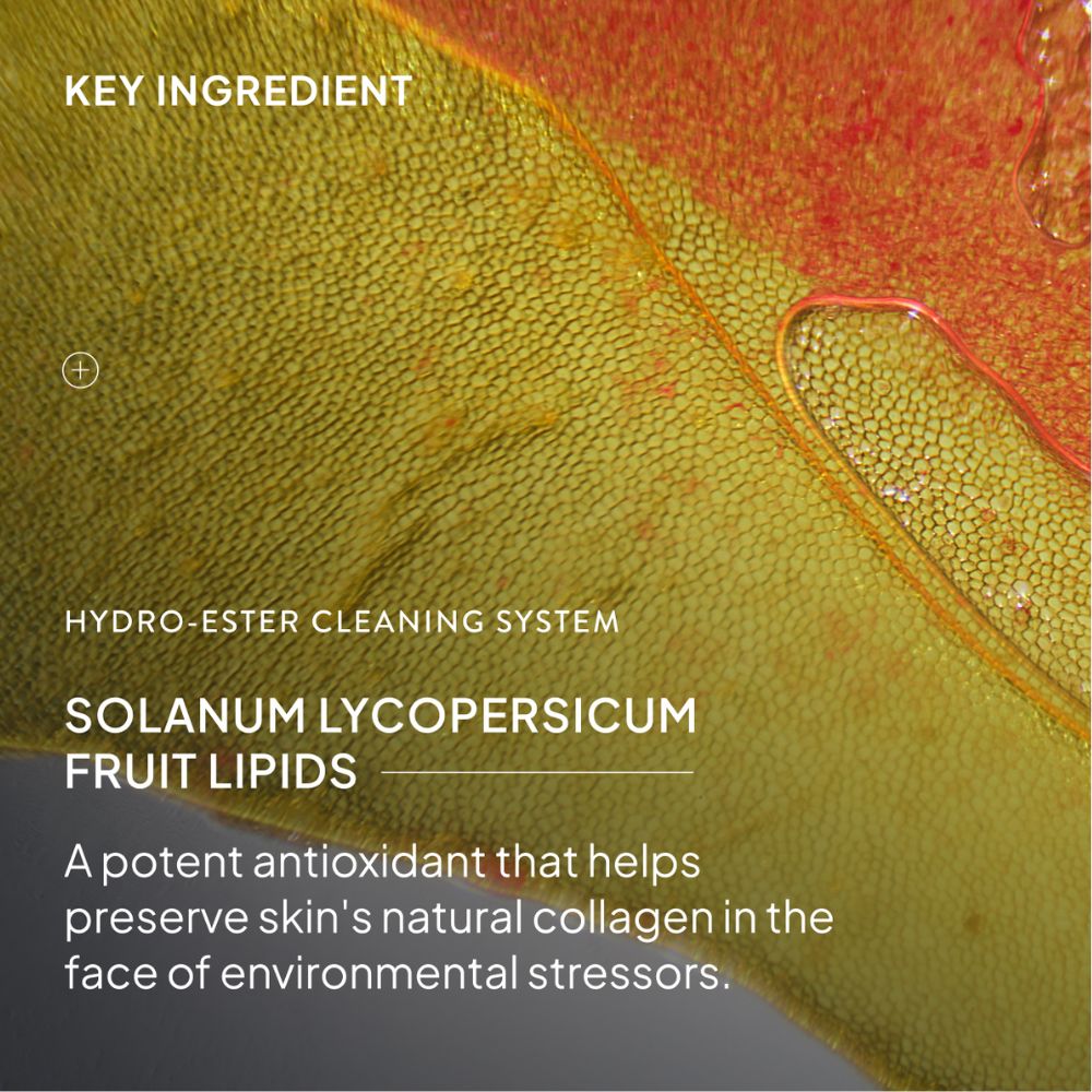 NIOD Hydro-Ester Cleaning System (HECS)