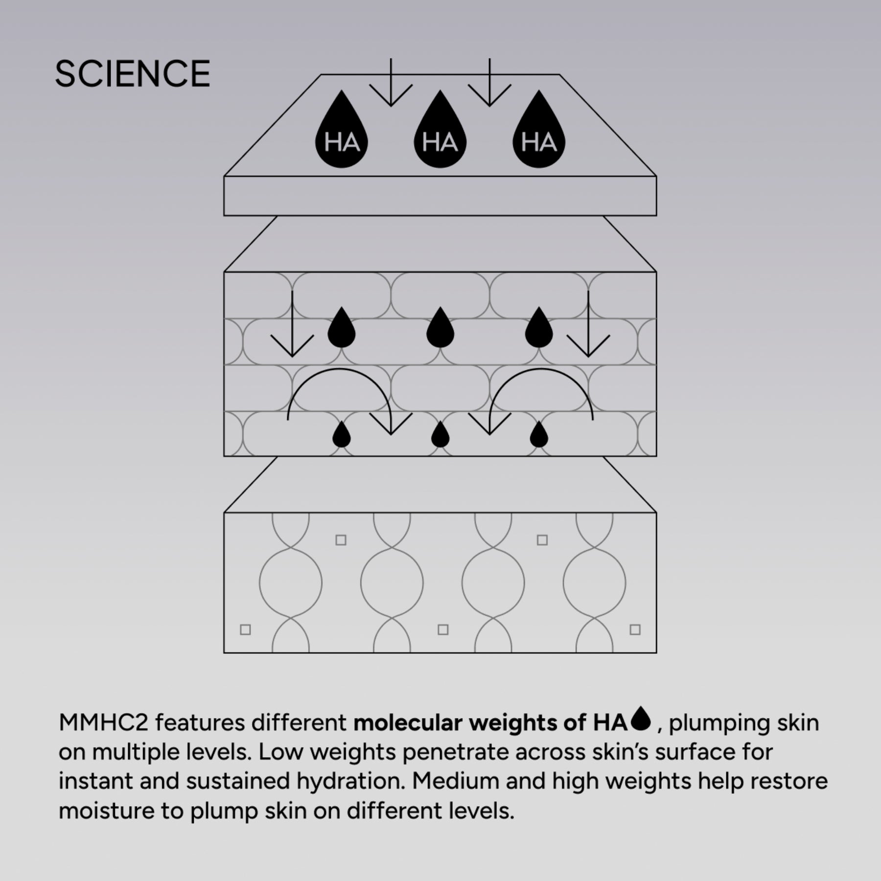 NIOD Multi Molecular Hyaluronic Complex MMHC2 - how it works